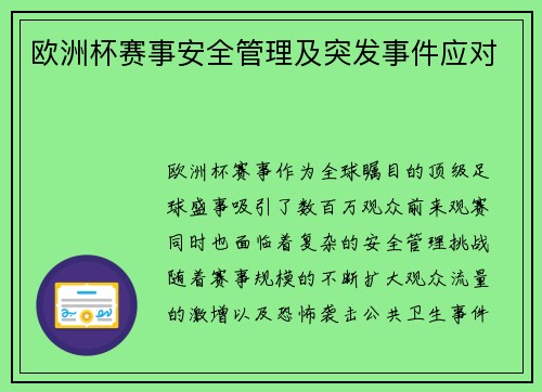 欧洲杯赛事安全管理及突发事件应对